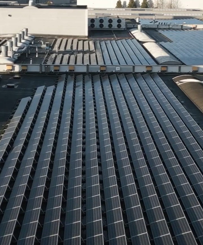 solar-panels-dumaplast